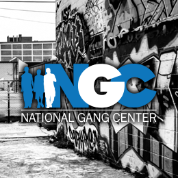 Picture of National Gang Center (NGC)