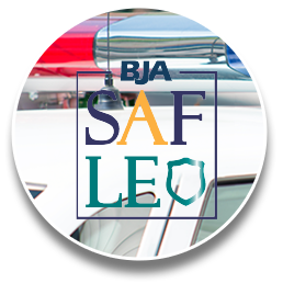 SAFLEO Logo